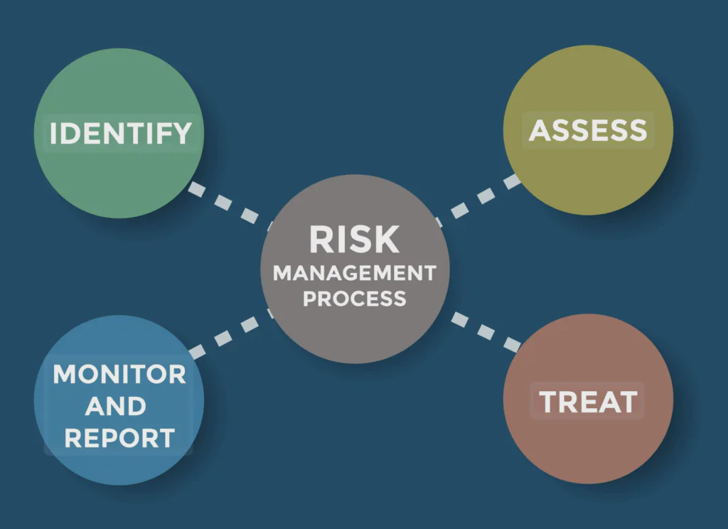 The nature of risk management process